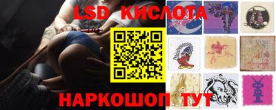 spice Краснознаменск