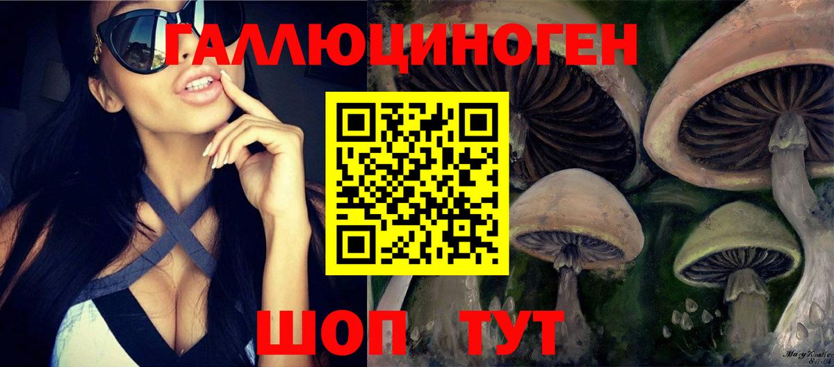 Кизляр  Галлюциногенные грибы Magic Shrooms  Вход с VPN 